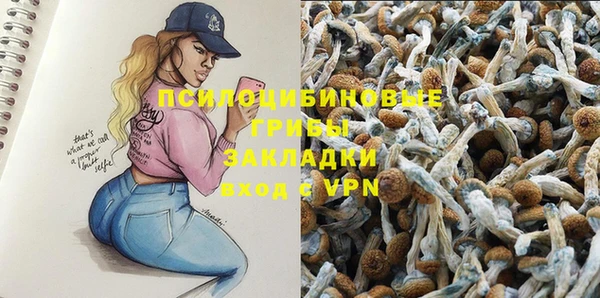 хмурый Баксан