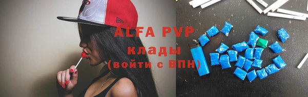 гидра Новозыбков